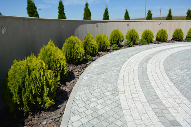 Best Interlocking Driveway Pavers  in Tyler, TX